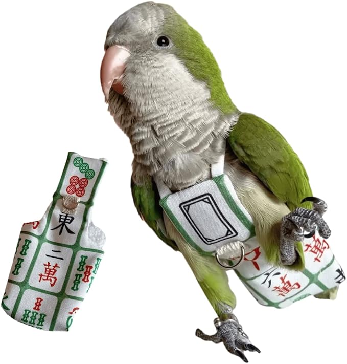 Bird Diaper Harness Flight Suit Clothes, Parrot Flight Suit with Leash for Parrot, Bird Flying Clothes with Rope and Handle for Outdoor Activities Training (Without Leash,Hahn's Macaw)
