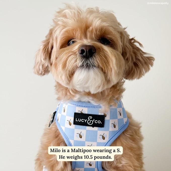 Lucy & Co. Reversible Dog Harness - Water-Repellent Neoprene, Dual-Print Design, Easy Swap Style, Adjustable Comfort Fit - Bumbling Around Reversible Harness - Large