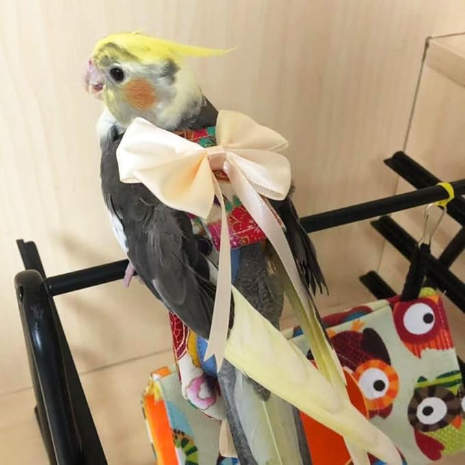 Bird Flight Suits Diapers, Parrot Flight Suits Diapers for Quaker Parakeets Cockatiels Flight Suits, Parrot Clothes (Red,2XL)