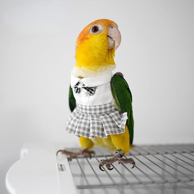 Bird Costume Bird Diaper Flight Suit Cute JK Dress Dress Skirt Clothes Cosplay Photo Prop for Parrots Macaw Cockatoo (Without Diaper,Macaw)