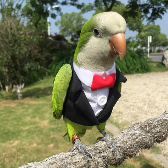 Bird Clothes Birds Flight Suit,Tuxedo Business Suit for Parrots African Greys Parakeet Cockatiel Sun Conure Christmas Party Birthday Cosplay Photo Prop Small Animals Apparel (2M,Black Suit)
