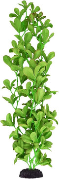 Underwater Treasures Silk Bacopa Monnieri - 20"