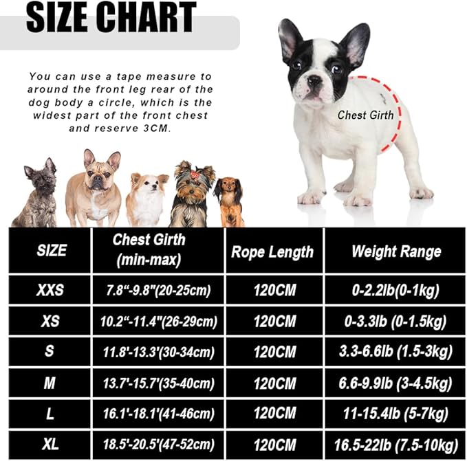 FEimaX Dog Harness and Leash Set for Walking, Soft Mesh Adjustable Easy Control Lightweight Cat Vest Harnesses with Reflective Strips, Escape Proof Small Dogs Cats Vests (Grey, X-Large)