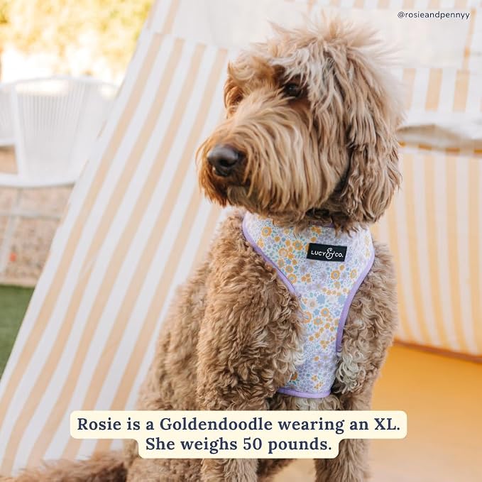 Lucy & Co. Reversible Dog Harness - Water-Repellent Neoprene, Dual-Print Design, Easy Swap Style, Adjustable Comfort Fit - Among Wildflowers Reversible Harness - Large