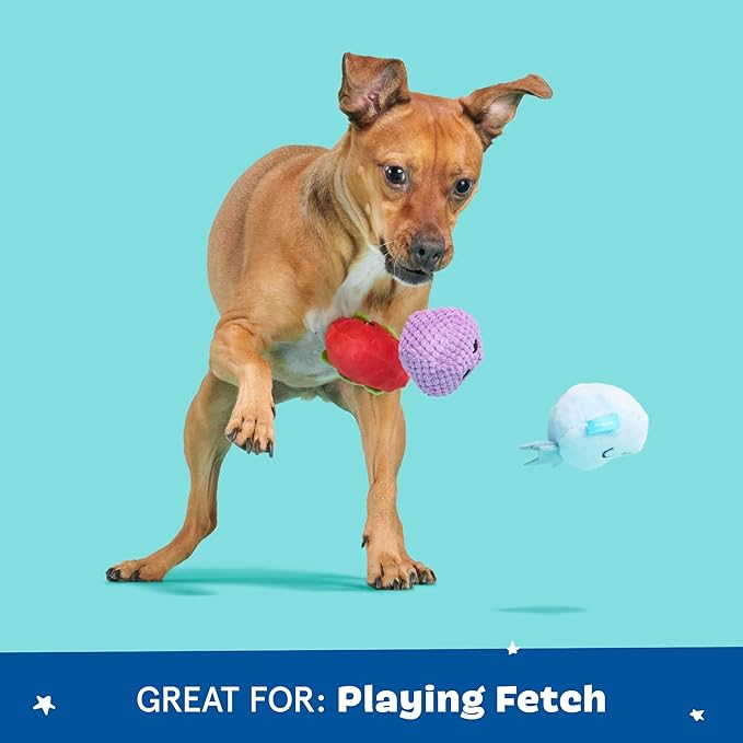 Barkbox Wild Berry Bunch Multi Part Toy for Dogs and Puppies - Small Breeds