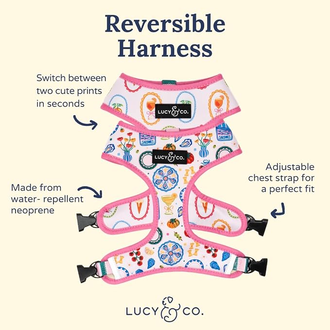 Lucy & Co. Dolce Vita Reversible Dog Harness, Adjustable Comfort Fit with Dual Leash Attachments, Small