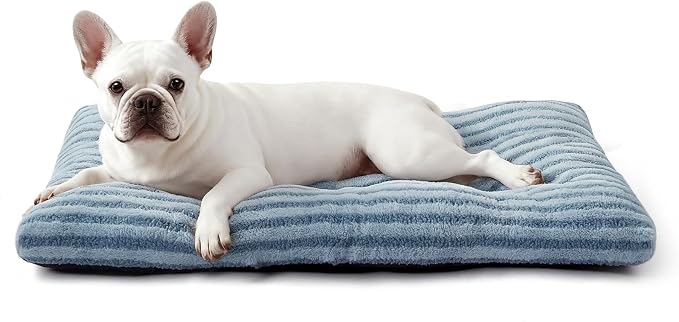 FURTIME Washable Small Dog Bed, Deluxe Dog Crate Beds Comfy Fluffy Kennel Pad Anti-Slip Pet Sleeping Mat for Puppy/Cat, Machine Washable Dogs Pillow, 23"x18"x3", Blue