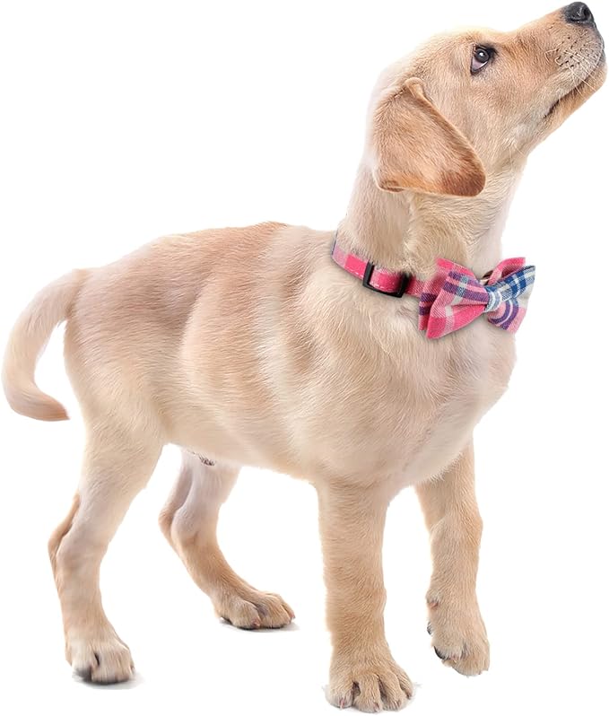 Faleela Soft &Comfy Bowtie Dog Collar,Detachable and Adjustable Bow Tie Collar,for Small Medium Large Pet (Medium (Pack of 1), Pink)