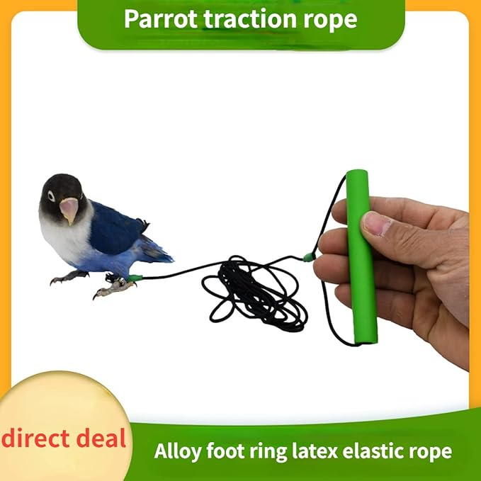 Bird Foot Chain with Flying Latex Elastic Training Rope Outdoor Parrot Ankle Foot Ring Accessories Bird Harness Leash Prevent Escaping (Model7-With 78.7inch Leash)