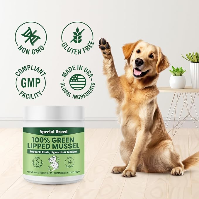 Green Lipped Mussel Powder for Dogs & Cats - 100% New Zealand Green Lipped Mussels - Natural Hip & Joint Supplement for Joints, Tendons, Ligaments, Muscles - 300 Grams - Up to 1,000 Servings