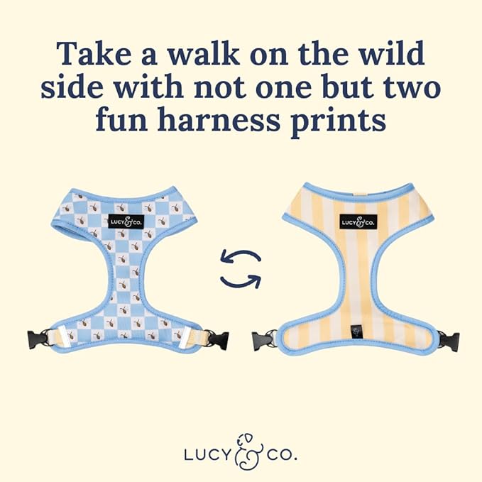 Lucy & Co. Reversible Dog Harness - Water-Repellent Neoprene, Dual-Print Design, Easy Swap Style, Adjustable Comfort Fit - Bumbling Around Reversible Harness - Small
