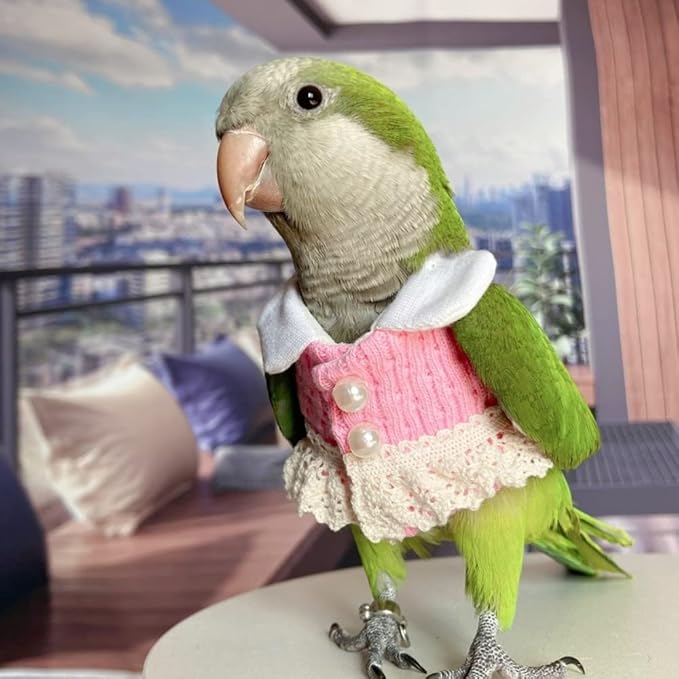 Eclectus Bird Diaper Flight Suit - Pink Top Cosplay Photo Prop for Parrots, Lovebirds, Parakeets & Cockatiels