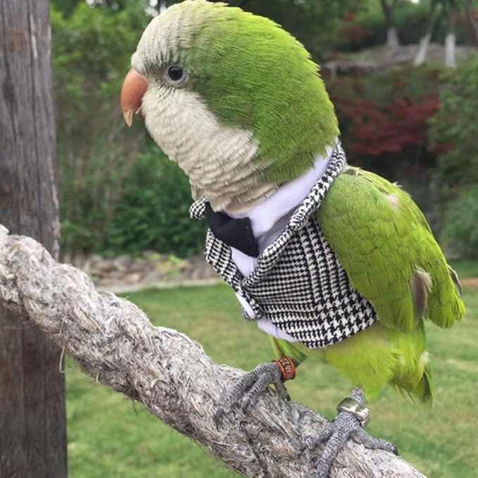 Bird Clothes Birds Flight Suit,Tuxedo Business Suit for Parrots African Greys Parakeet Cockatiel Sun Conure Christmas Party Birthday Cosplay Photo Prop Small Animals Apparel (3XL,Grid Suit)