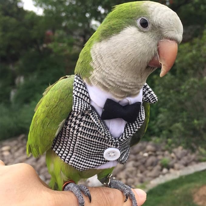 Bird Clothes Birds Flight Suit,Tuxedo Business Suit for Parrots African Greys Parakeet Cockatiel Sun Conure Christmas Party Birthday Cosplay Photo Prop Small Animals Apparel (XS,Grid Suit)