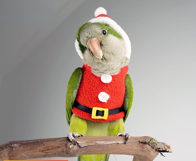 Bird Clothes Birds Flight Suit, Christmas Hoodie for Parrots Cockatiel Sun Conure Christmas Party Cosplay Photo Prop Bird Shirt Small Animals Apparel (Without Diaper,Common Hill Myna)