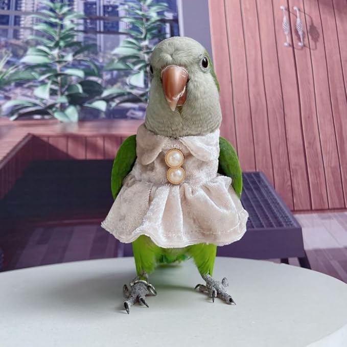 Bird Costume Bird Diaper Flight Suit Parrot Velvet Fleece Skirt Clothes Cosplay Photo Prop for Conure Lovebird Parakeet Cockatiel Macaw Small Animals Apparel (White,X-Small)
