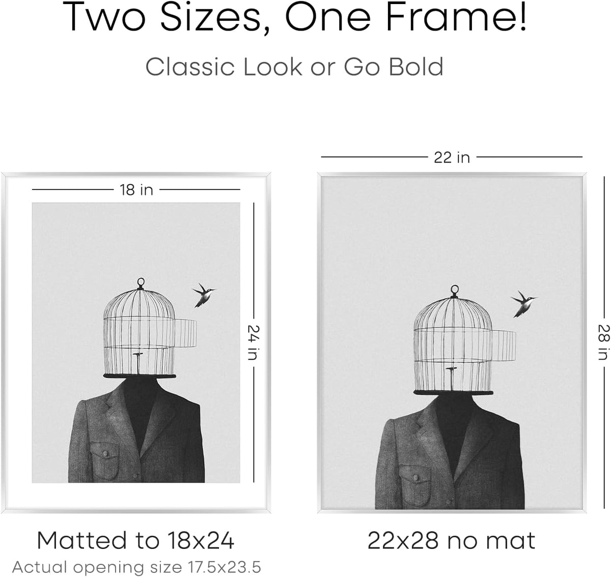 Homeforia Silver 22x28 Picture Frame, Rectangular Metal Poster Frame with Mat, 22 x 28 Frame Matted to 18 x 24 Photo, Wall Mount, Minimalist Style, Tempered Glass, Wall Hook Included