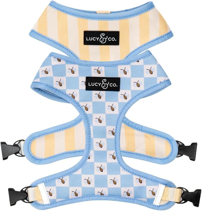 Lucy & Co. Reversible Dog Harness - Water-Repellent Neoprene, Dual-Print Design, Easy Swap Style, Adjustable Comfort Fit - Bumbling Around Reversible Harness - Large