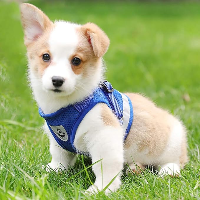 FEimaX Dog Harness and Leash Set for Walking, Soft Mesh Adjustable Easy Control Lightweight Cat Vest Harnesses with Reflective Strips, Escape Proof Small Dogs Cats Vests (Blue, X-Large)