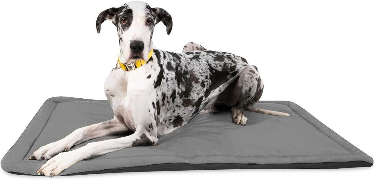 K9 Ballistics Tough Ripstop Dog Crate Pad - Durable & Machine Washable with Non-Skid Bottom and 120-Day Warranty, Fits 54" Wire Crates - XX-Large, Light Gray Velvet