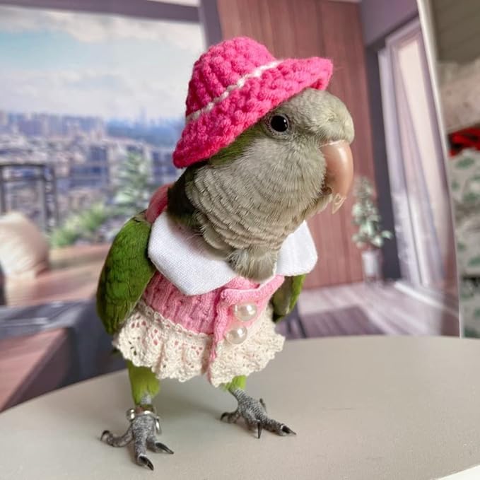 Bird Costume Bird Diaper Flight Suit Bird Pink Top Bird Clothes Cosplay Photo Prop for Parrots Lovebird Parakeet Cockatiel Small Animals Apparel (Sun Conure)