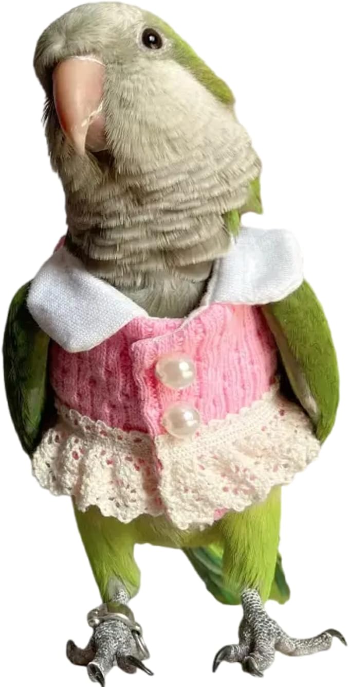Bird Diaper Flight Suit - Pink Top Bird Clothes Cosplay Photo Prop for Parrots, Lovebirds, Parakeets, Cockatiels & Small Animals (Blue Quaker)