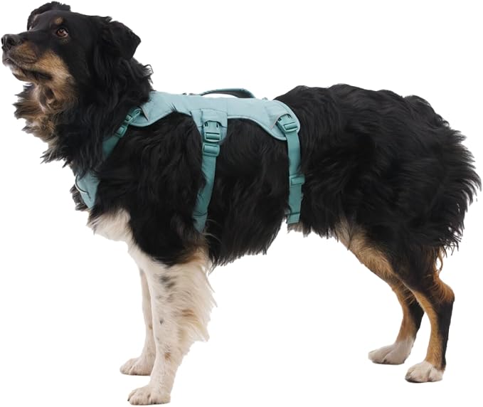 Ruffwear, Web Master, Multi-Use Support Dog Harness, Hiking and Trail Running, Service and Working, Everyday Wear, River Rock Green, Large/X-Large