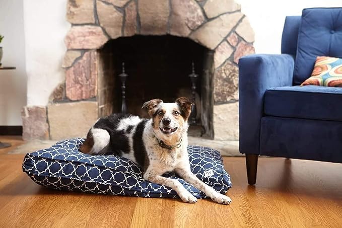 Molly Mutt Sheepy Wool Crate Mat - 100% Cotton Canvas Cover with Temperature-Regulating 100% Natural Wool-Filled Insert Dog Bed - Soft & Supportive Wool-Filled Bed - (36"x24"x2.5", Rocketman)