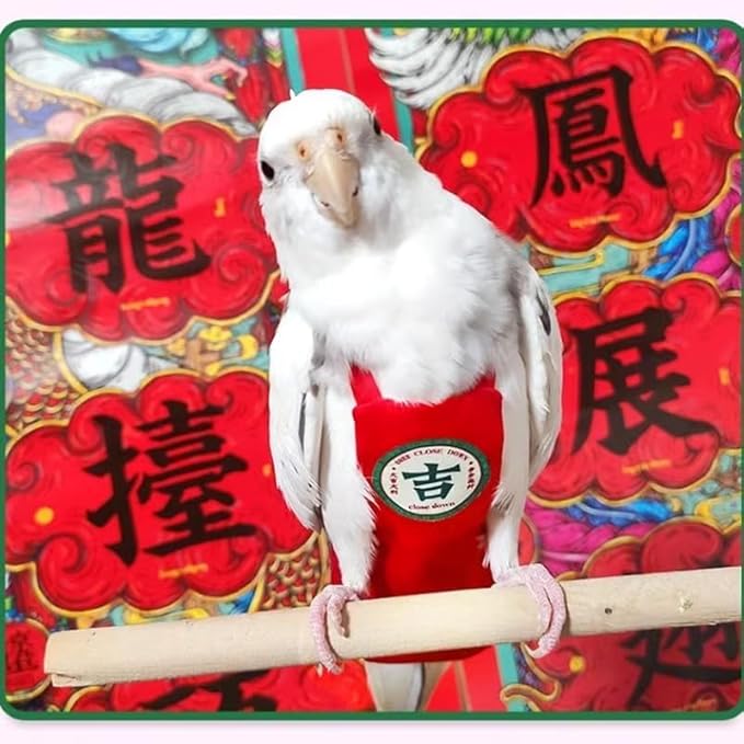 MANON ROSA Bird Diapers Leash Set Washable Reusable Handmade Flight Suit Waterproof Inner Layer - Protective Parrot Nappy Clothes Parakeets Macaws Budgies Canaries (Red2,Blue Monk Parakeet)