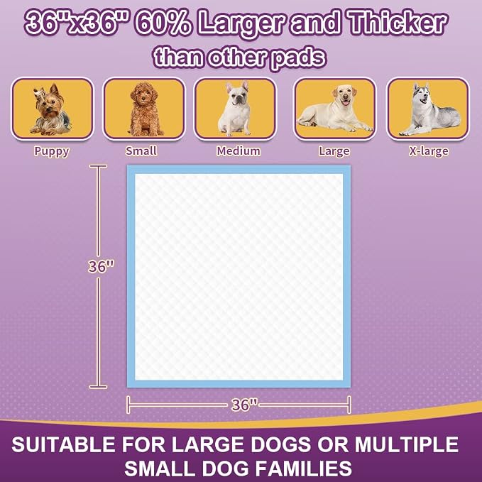 IMMCUTE Extra Large Dog Pee Pads 36"x36"-30 Count | XX-Large Puppy Pee Training Pads Super Absorbent & Leak-Proof | Disposable Pet Piddle and Potty Pads for Puppies | Dogs | Doggie| Cats | Rabbits
