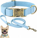 Silicone Dog Collar and Leash Set, Waterproof & Odor-Proof Puppy Collar for Small Dogs, Soft Flexible Leather-Look Dog Collars, Durable Thick Adjustable Pet Collar (Blue, Small (11-15.5" Neck))