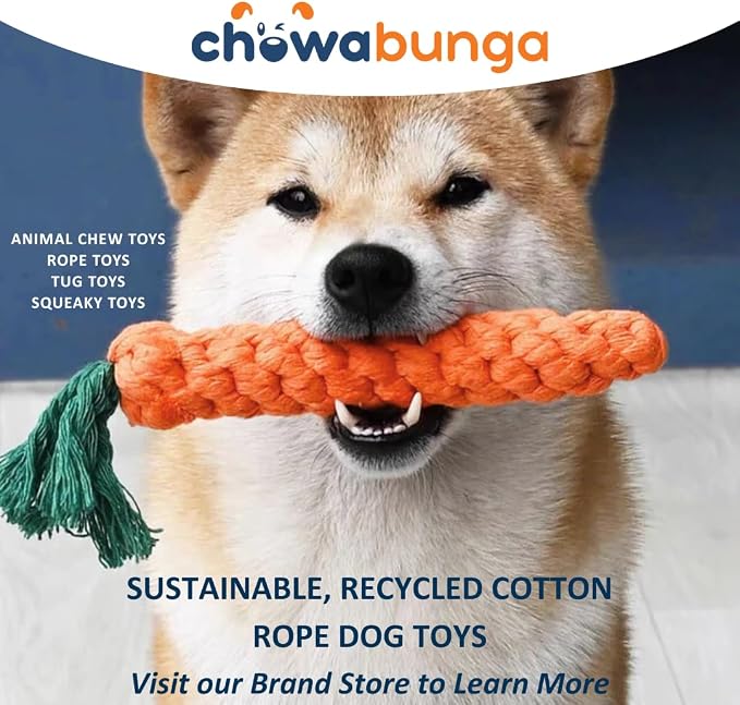 Bucky The Squirrel Dog Toy Handmade Eco Cotton Rope Squirrel Toy for Dogs - Natural, Non-Toxic Dyes, Dog Chew Toys for Small & Medium Breed Dogs, Cats (Large)