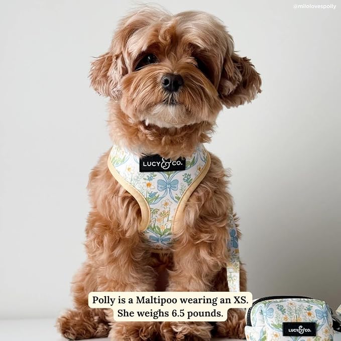 Lucy & Co. Reversible Dog Harness - Water-Repellent Neoprene, Dual-Print Design, Easy Swap Style, Adjustable Comfort Fit - Sunshine Daffodils Reversible Harness - X-Large