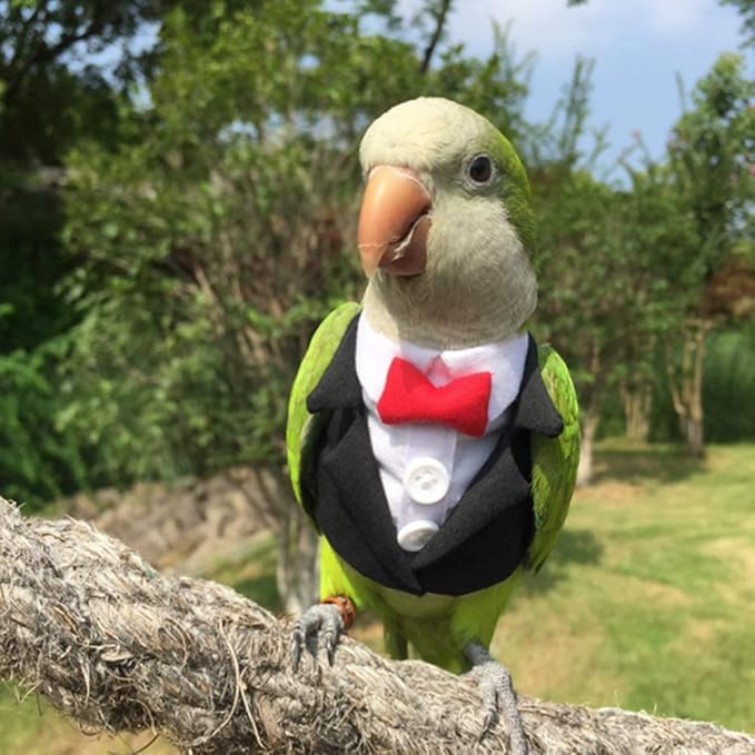Bird Clothes Birds Flight Suit,Tuxedo Business Suit for Parrots African Greys Parakeet Cockatiel Sun Conure Christmas Party Birthday Cosplay Photo Prop Small Animals Apparel (XL,Black Suit)