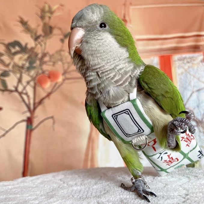 Bird Diaper Harness Flight Suit Clothes, Parrot Flight Suit with Leash for Parrot, Bird Flying Clothes with Rope and Handle for Outdoor Activities Training (Without Leash,Lovebird)