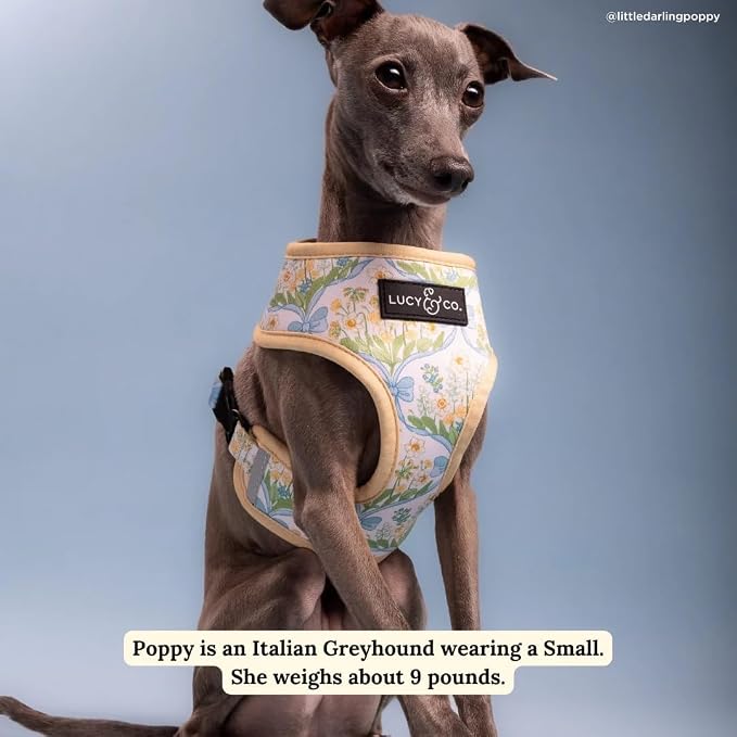 Lucy & Co. Reversible Dog Harness - Water-Repellent Neoprene, Dual-Print Design, Easy Swap Style, Adjustable Comfort Fit - Sunshine Daffodils Reversible Harness - Medium