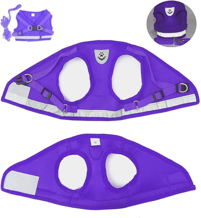 FEimaX Dog Harness and Leash Set for Walking, Soft Mesh Adjustable Easy Control Lightweight Cat Vest Harnesses with Reflective Strips, Escape Proof Small Dogs Cats Vests