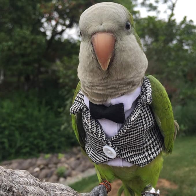 Bird Clothes Birds Flight Suit,Tuxedo Business Suit for Parrots African Greys Parakeet Cockatiel Sun Conure Christmas Party Birthday Cosplay Photo Prop Small Animals Apparel (XS,Grid Suit)