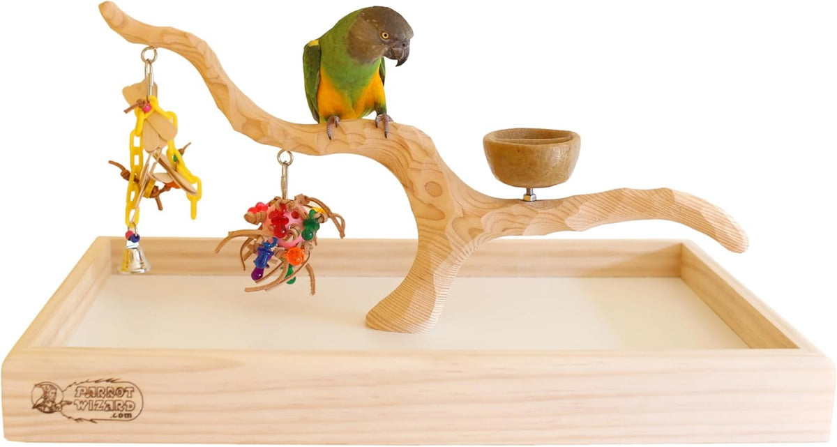 Deluxe Tabletop Perfect Tree (with Bowl) - Tree Stand for Parakeets and Small Parrots