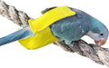 Parrot Bird Diapers, Birds Flight Suit, Parrot Clothes, Pet Animal Costumes, Bird Clothes, Cockatiel Bird Diaper, Pet Bird Diapers, Parrot Flight Suit, Bird Parrot Clothes (Yellow, M)