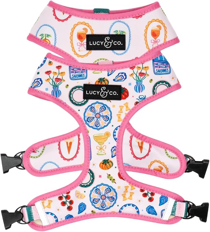 Lucy & Co. Dolce Vita Reversible Dog Harness, Adjustable Comfort Fit with Dual Leash Attachments, X-Large