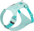 Lightweight Dog Harness, Large to Very Large Breeds, Adjustable Fit.Pet Harness with Pocket, Dog Training Harness for Outdoor Walking Running, Hiking (Aqua Green, XL)