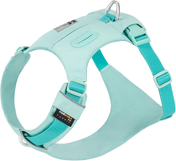 Lightweight Dog Harness, Large to Very Large Breeds, Adjustable Fit.Pet Harness with Pocket, Dog Training Harness for Outdoor Walking Running, Hiking (Aqua Green, XL)