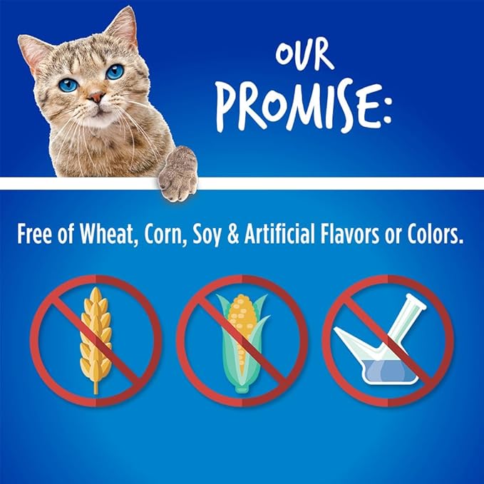 Fruitables Cat Treats Crunchy Cat Treats Packed with Protein Healthy Low Calorie Free of Wheat, Corn and Soy Made with Real Chicken and Blueberry 30 Ounces