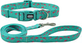 Dog Collar Leash Set, Flamingo Pattern, Polyester Material, Adjustable Collar and 5ft Matching Leash, for Medium Dogs.(M, Green Flamingo)