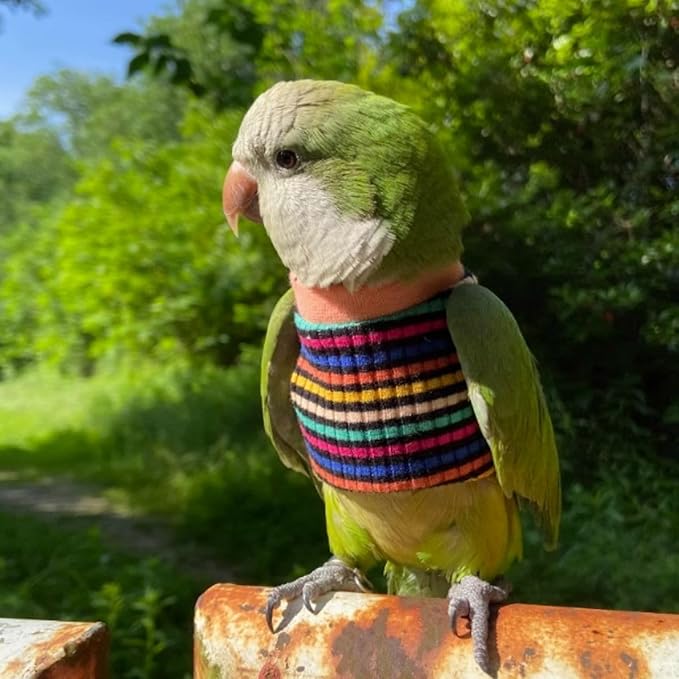 Bird Clothes - Handmade Cotton Stripe Shirt Round Collar Sweater Flight Suit for Parrots African Greys Parakeet Cockatiel Sun Conure Christmas Halloween (with Diaper,S)