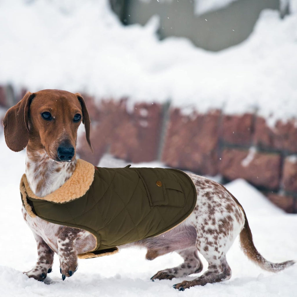 Queenmore Warm Dog Coat, Cold Weather Puffer Dog Jacket with Ultra Thick Plush Lining, Storage Pockets (Green, Large)