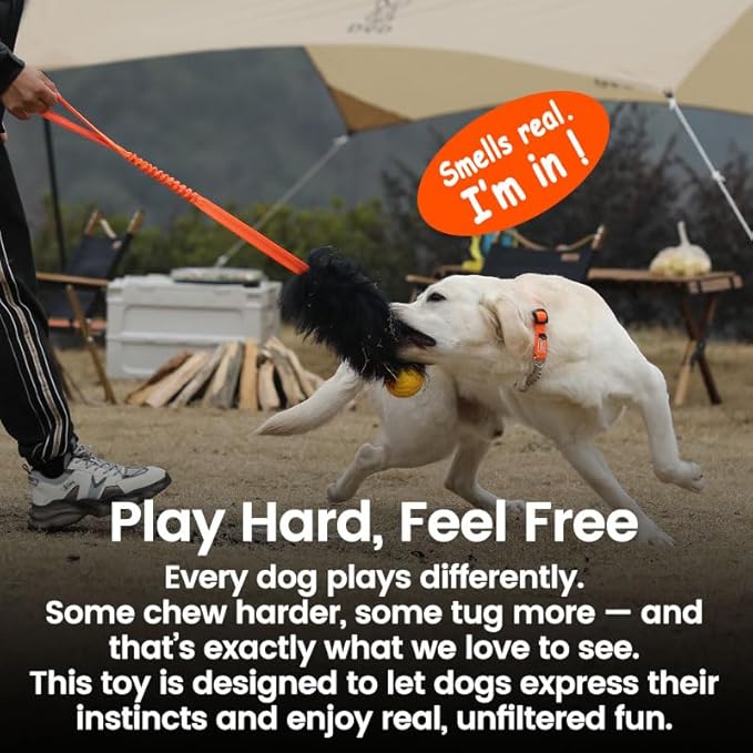 HOWGO Dog Rope,Dog Bungee Chaser 100% Sheepskin,Sheep Smell Tug for All Breeds(Black, Long Without Ball 2Pack)