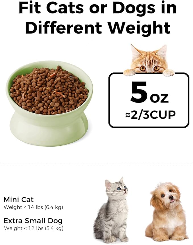 LoeJan Elevated Cat Food Bowl, 5 Oz Ceramic Raised and Tilted Water Bowl, Anti Vomiting and Protect Pets' Spines Dishes for Small Dog, Fat Faced Cat, Kitten (Green, 1 Pack)