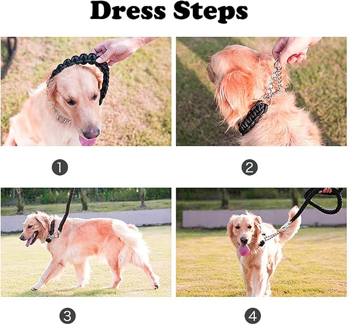 Love Dream Dog Collar and Leash Set, Heavy Duty Nylon Braided Rope Strong 4 FT Dog Leash and Martingale Training Collar for Small Medium Large Dogs Training and Walking (Blue & Red)